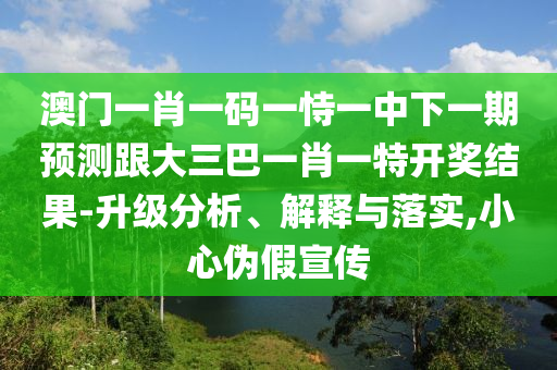 澳門一肖一碼一恃一中下一期預測跟大三巴一肖一特開獎結(jié)果-升級分析、解釋與落實,小心偽假宣傳