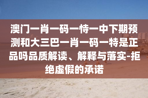 澳門一肖一碼一恃一中下期預(yù)測和大三巴一肖一碼一特是正品嗎品質(zhì)解讀、解釋與落實(shí)-拒絕虛假的承諾
