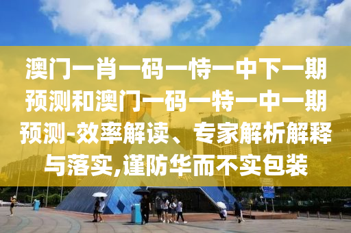 澳門一肖一碼一恃一中下一期預測和澳門一碼一特一中一期預測-效率解讀、專家解析解釋與落實,謹防華而不實包裝