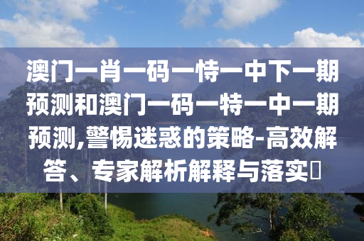 澳門一肖一碼一恃一中下一期預(yù)測和澳門一碼一特一中一期預(yù)測,警惕迷惑的策略-高效解答、專家解析解釋與落實?