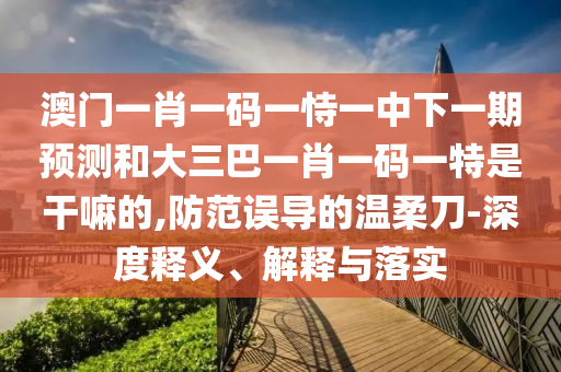 澳門一肖一碼一恃一中下一期預(yù)測和大三巴一肖一碼一特是干嘛的,防范誤導(dǎo)的溫柔刀-深度釋義、解釋與落實