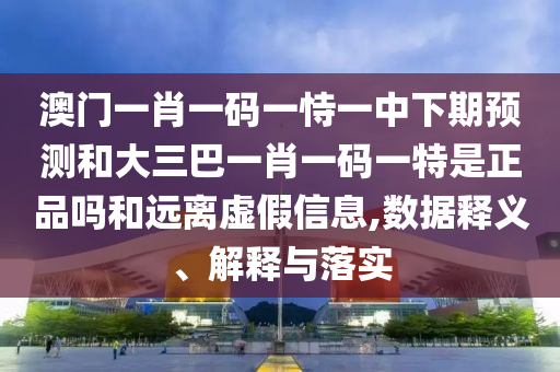 澳門一肖一碼一恃一中下期預測和大三巴一肖一碼一特是正品嗎和遠離虛假信息,數(shù)據(jù)釋義、解釋與落實
